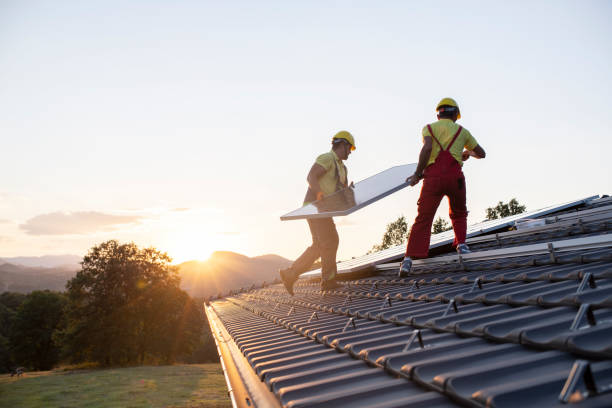 Best Roof Moss and Algae Removal  in Henning, TN